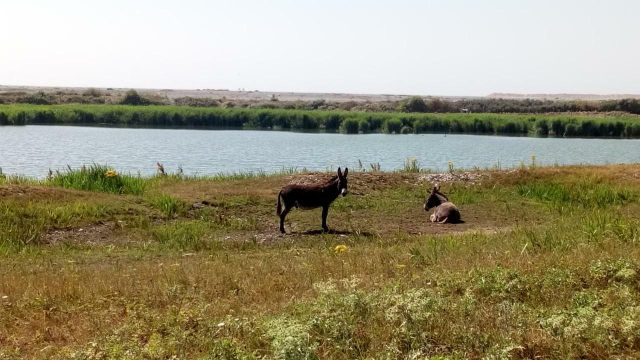 Gite Repos Et Tranquillite G Кайё-сюр-Мер Экстерьер фото